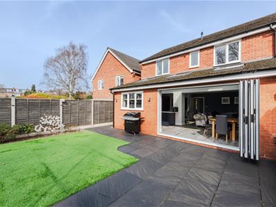 Picture 22